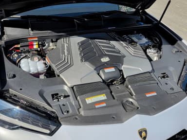 Urus