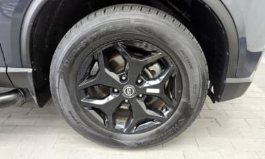 Rexton Sports