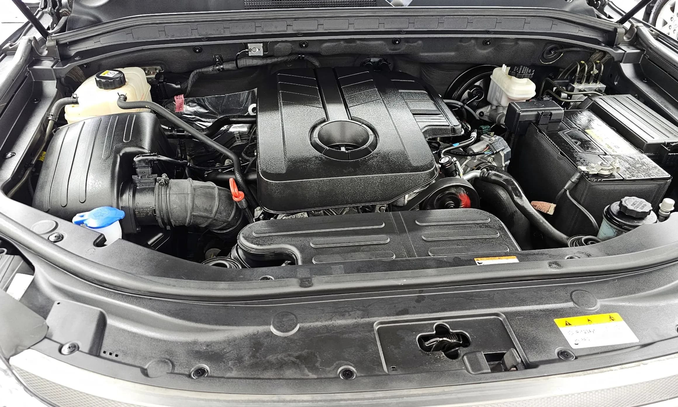 Rexton Sports