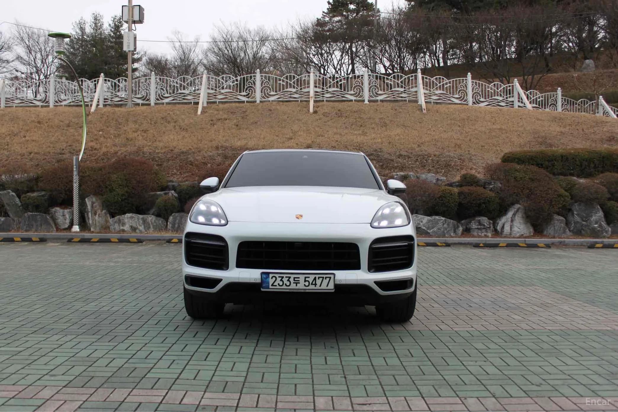 Cayenne (PO536)