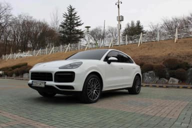 Cayenne (PO536)