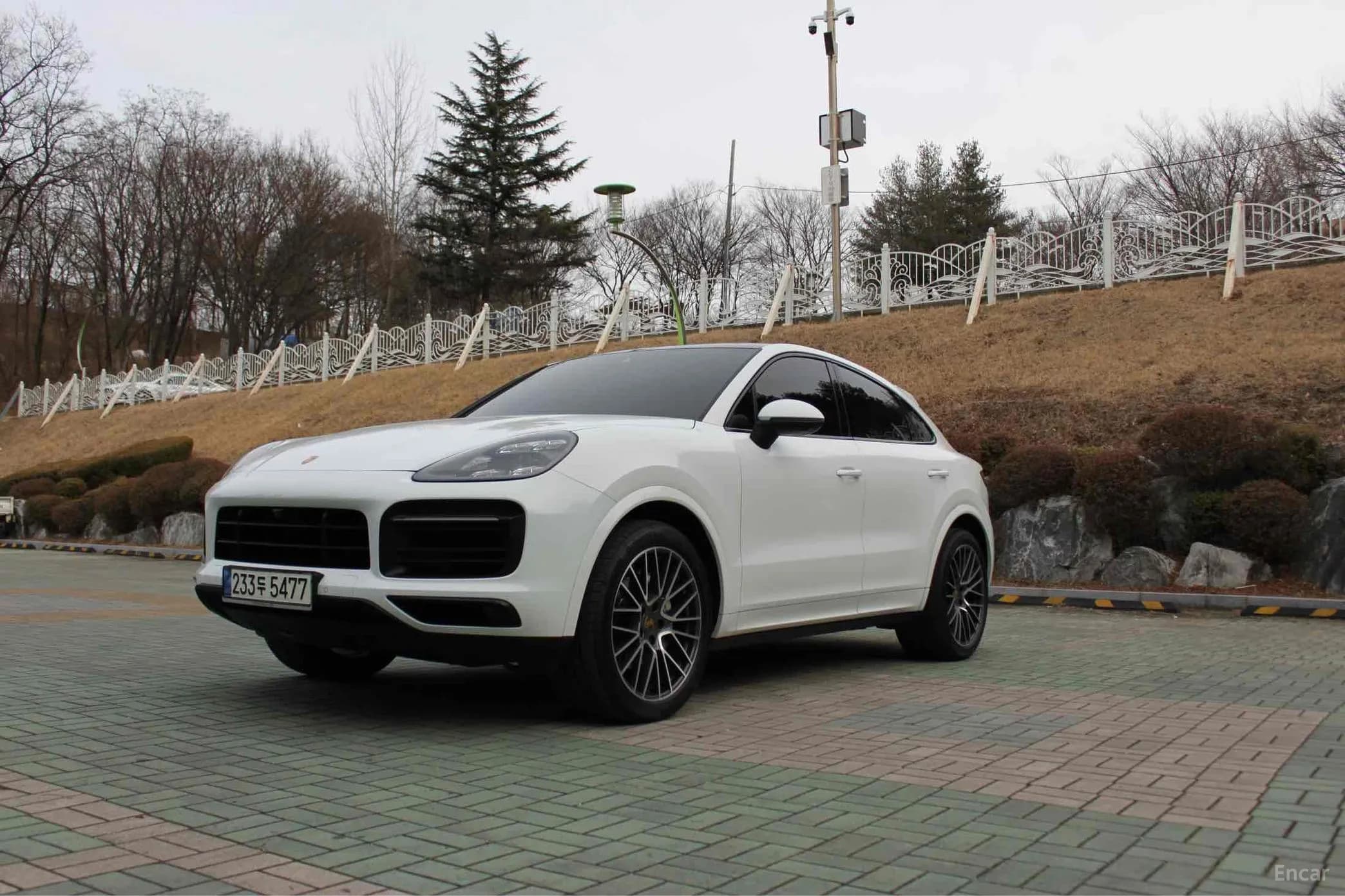 Cayenne (PO536)