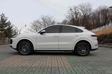 Cayenne (PO536)