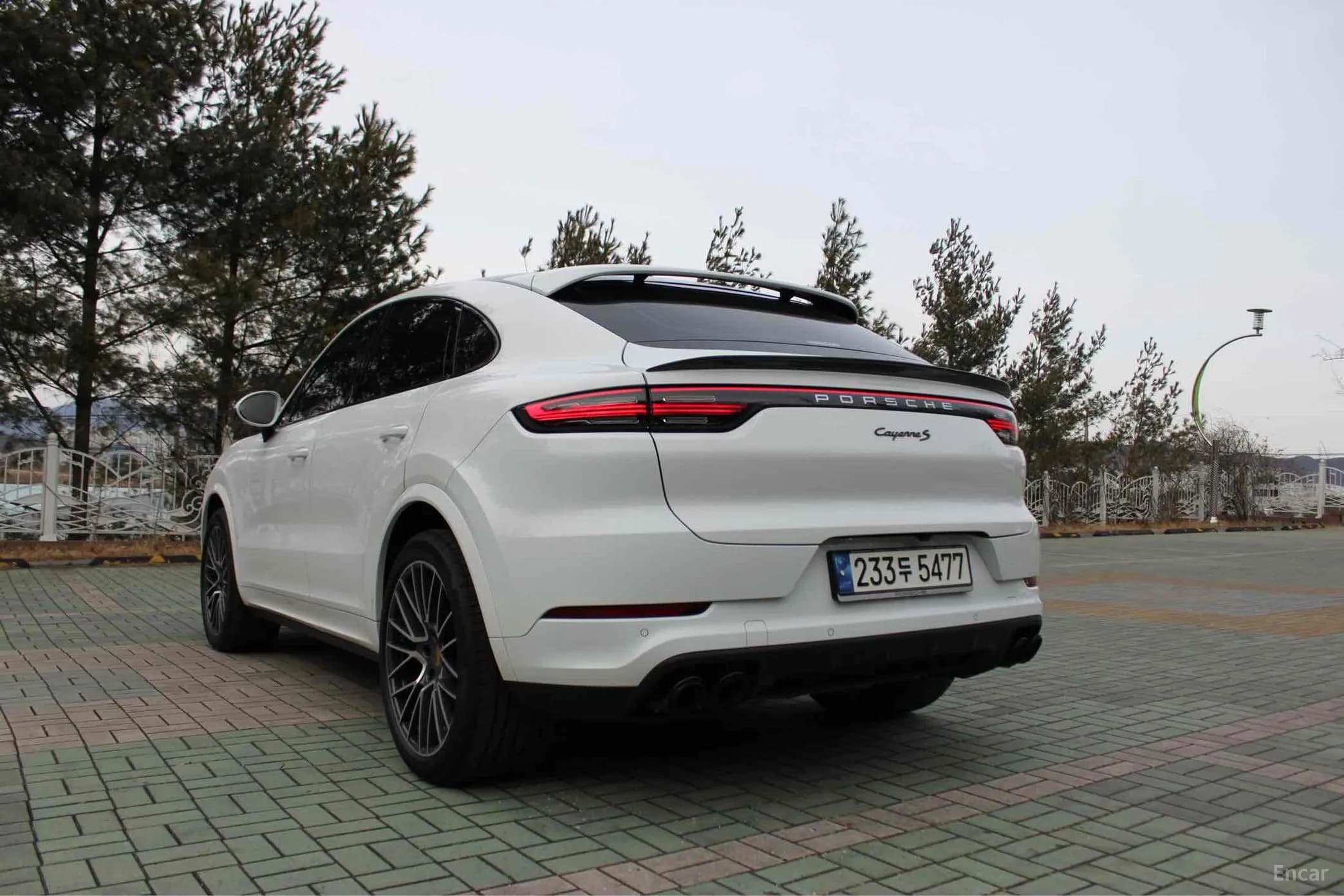 Cayenne (PO536)