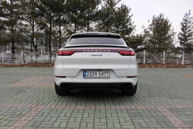 Cayenne (PO536)