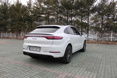 Cayenne (PO536)