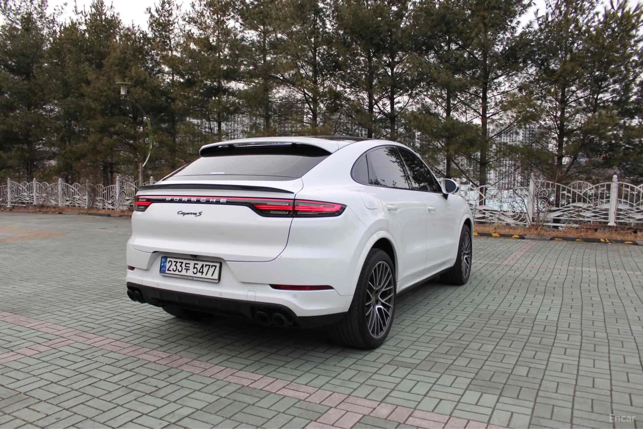 Cayenne (PO536)