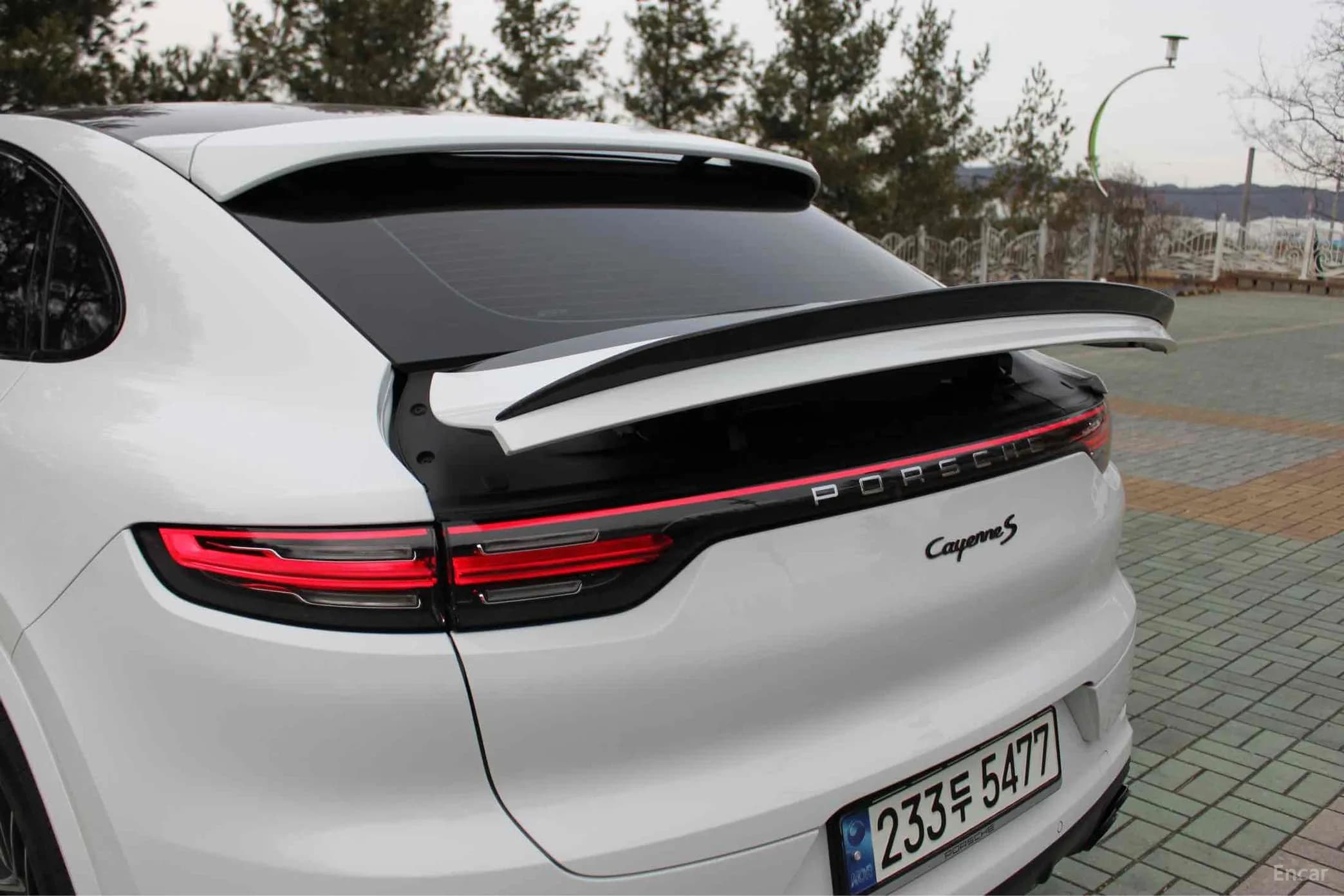 Cayenne (PO536)