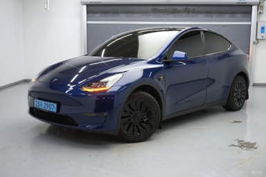 Model Y
