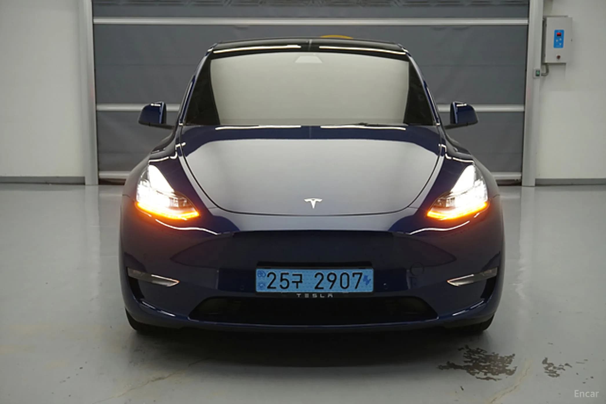 Model Y