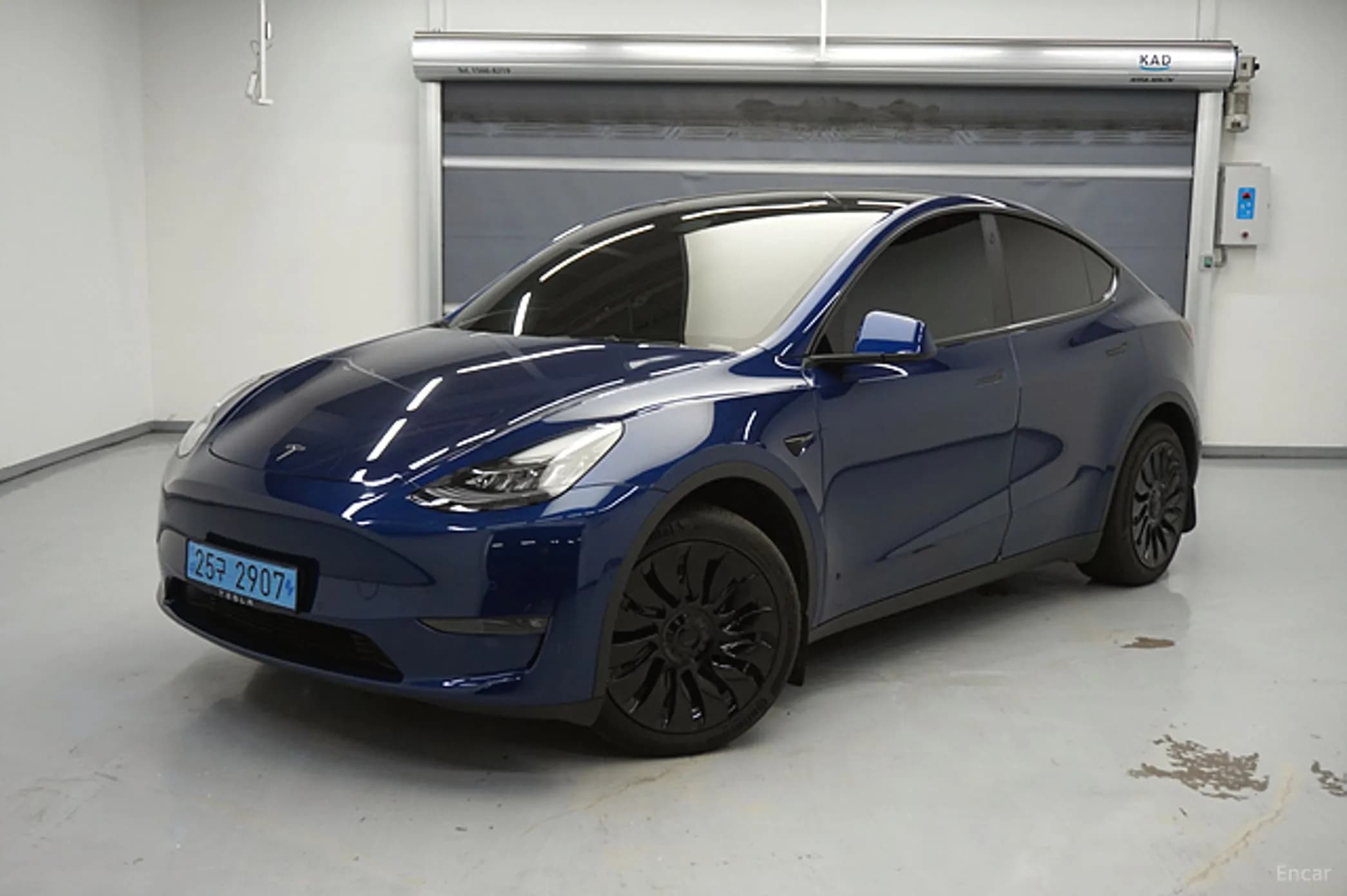 Model Y