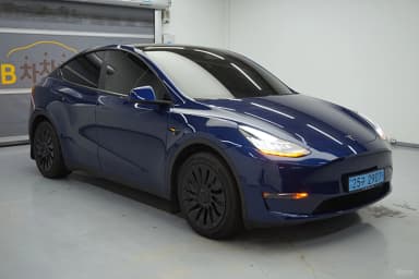 Model Y