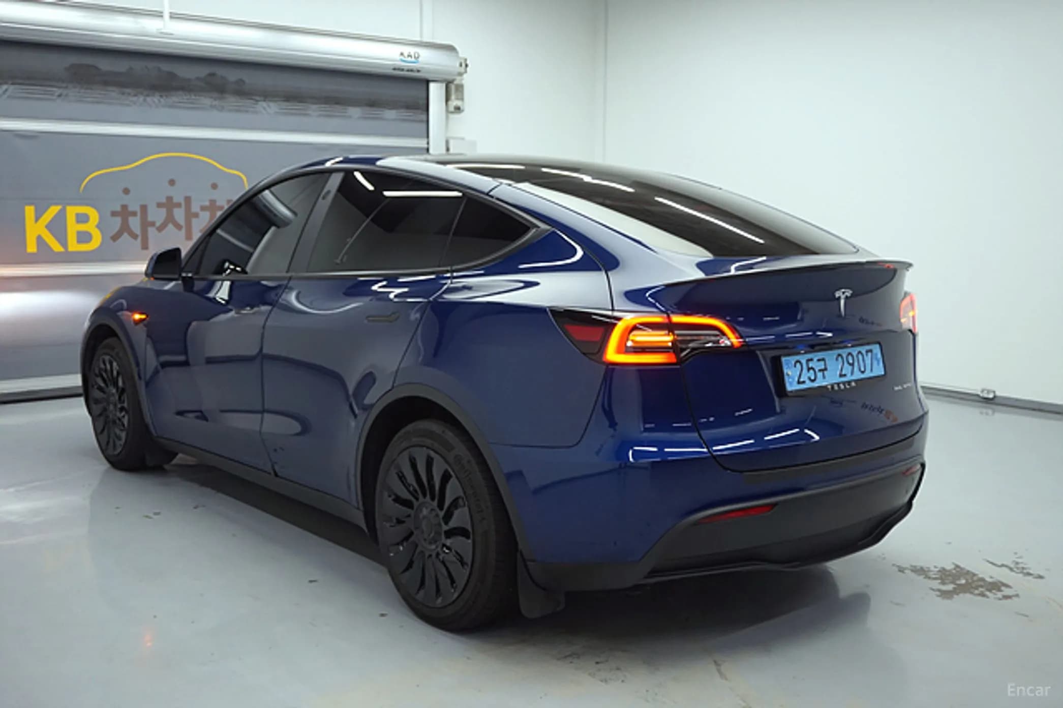 Model Y