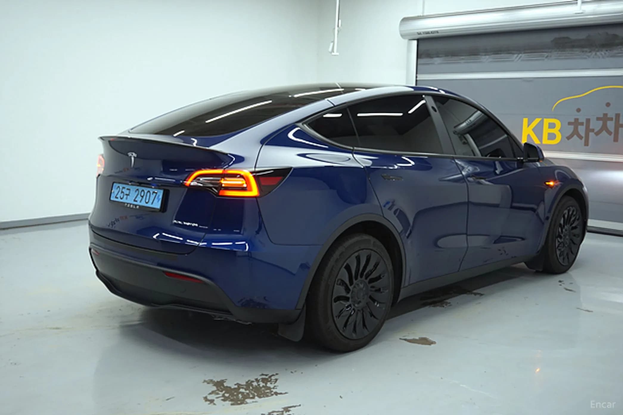 Model Y