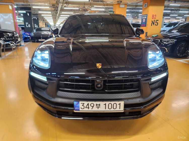 Macan