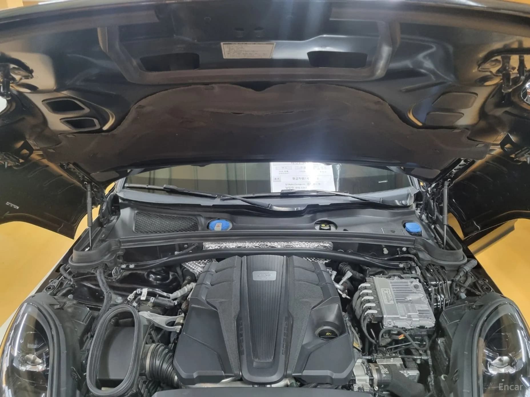 Macan