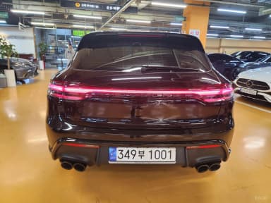 Macan