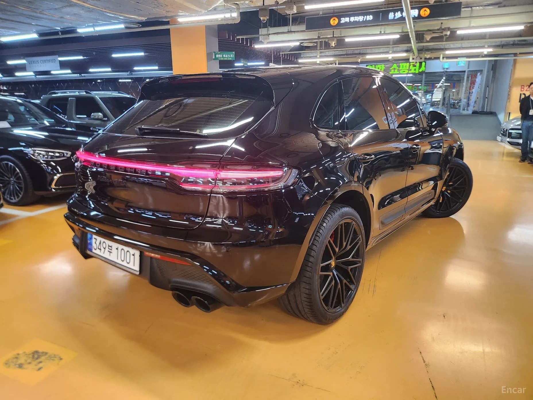 Macan