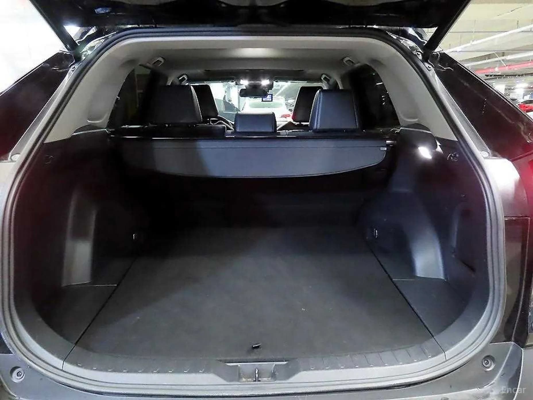 RAV4 5th Generation