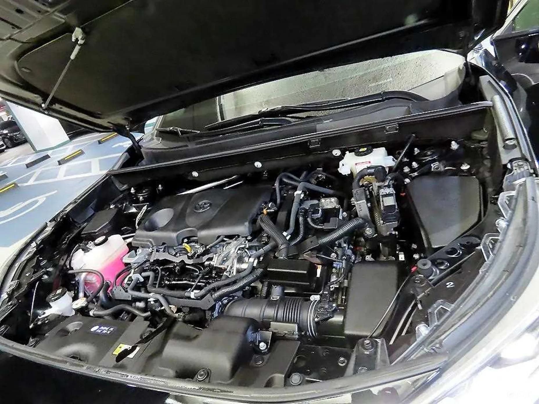 RAV4 5th Generation