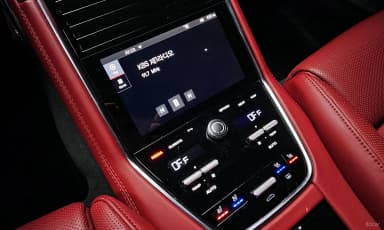 Panamera (971)