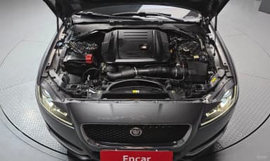 XF (x260)