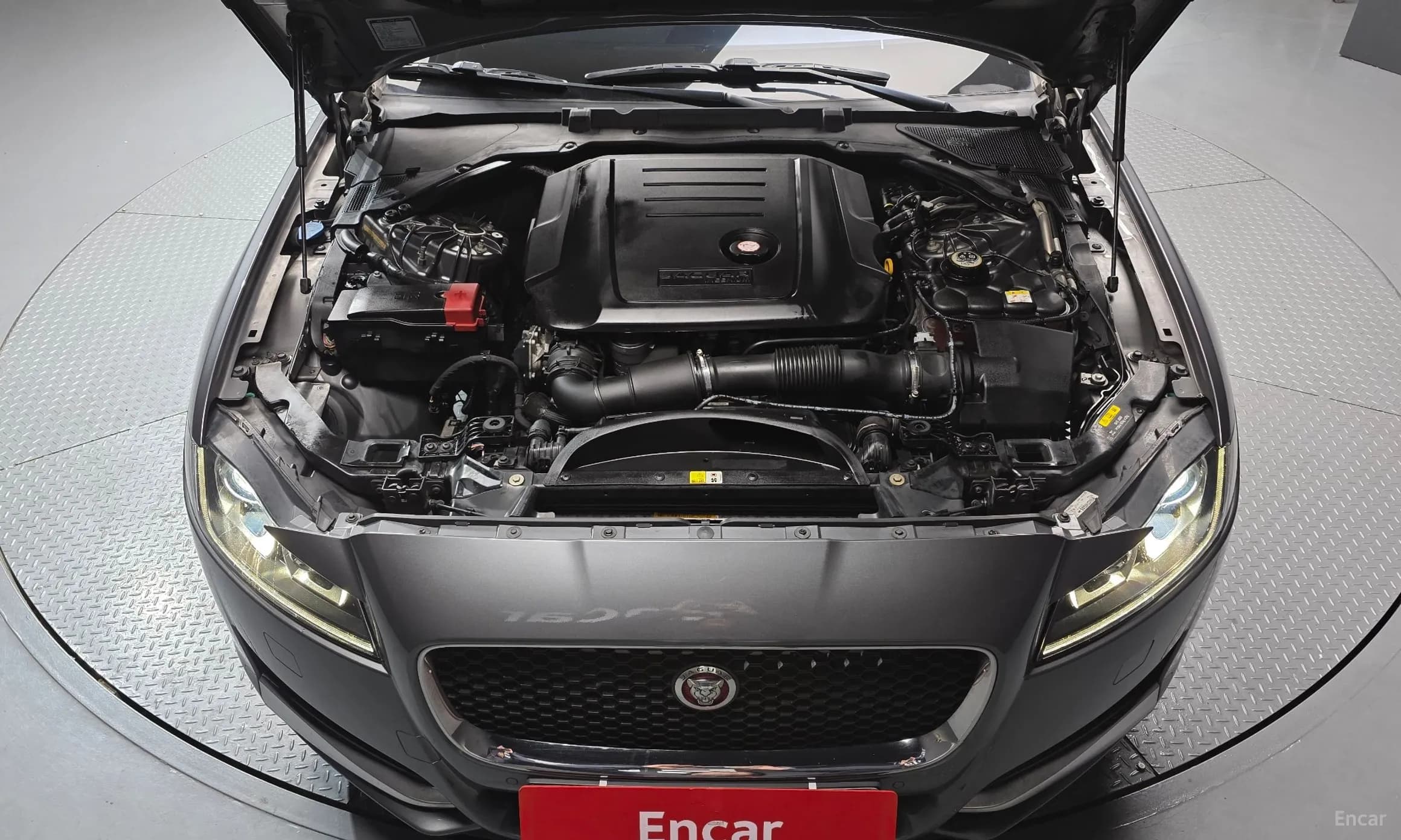 XF (x260)