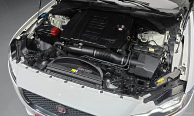 XF (x260)