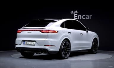 Cayenne (PO536)