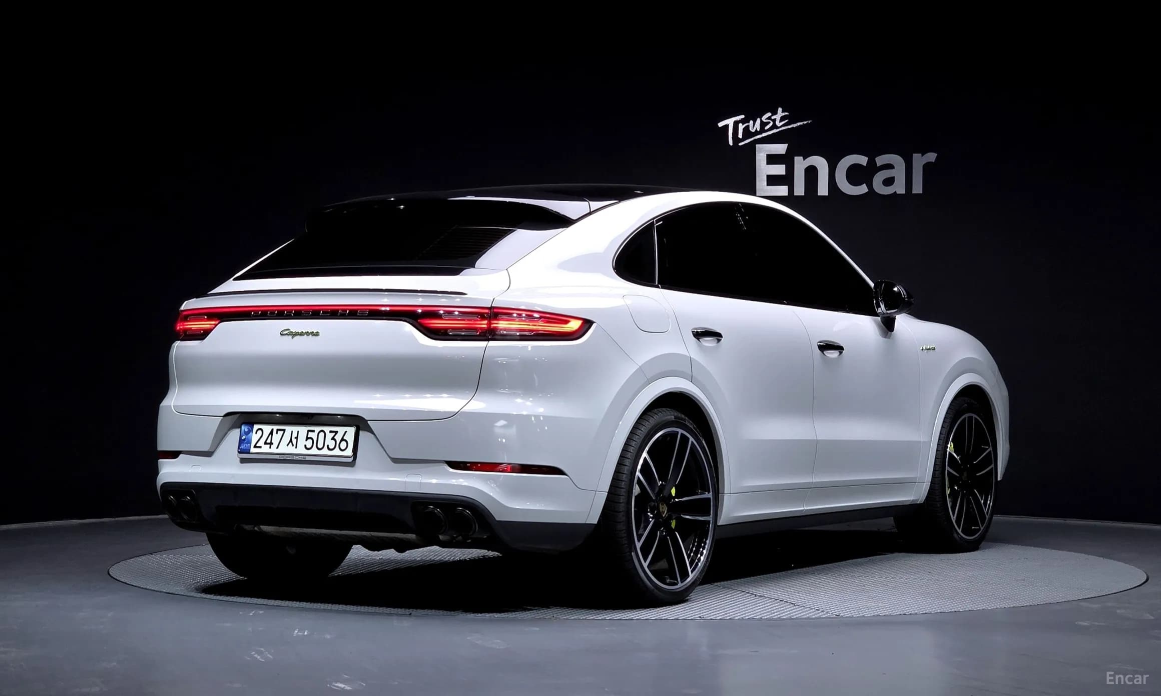 Cayenne (PO536)