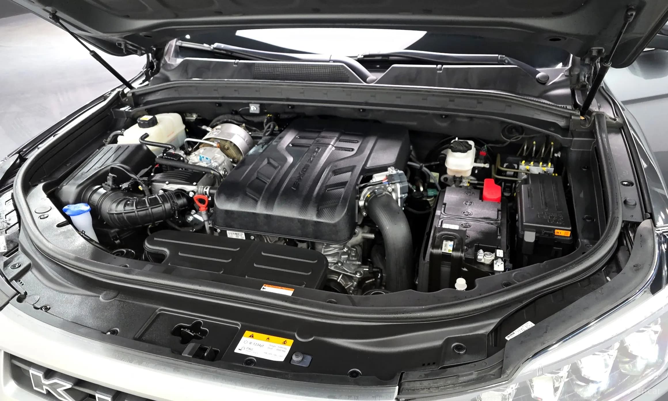 Rexton Sports Khan