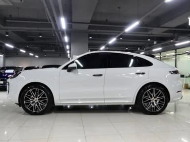 Cayenne (PO536)
