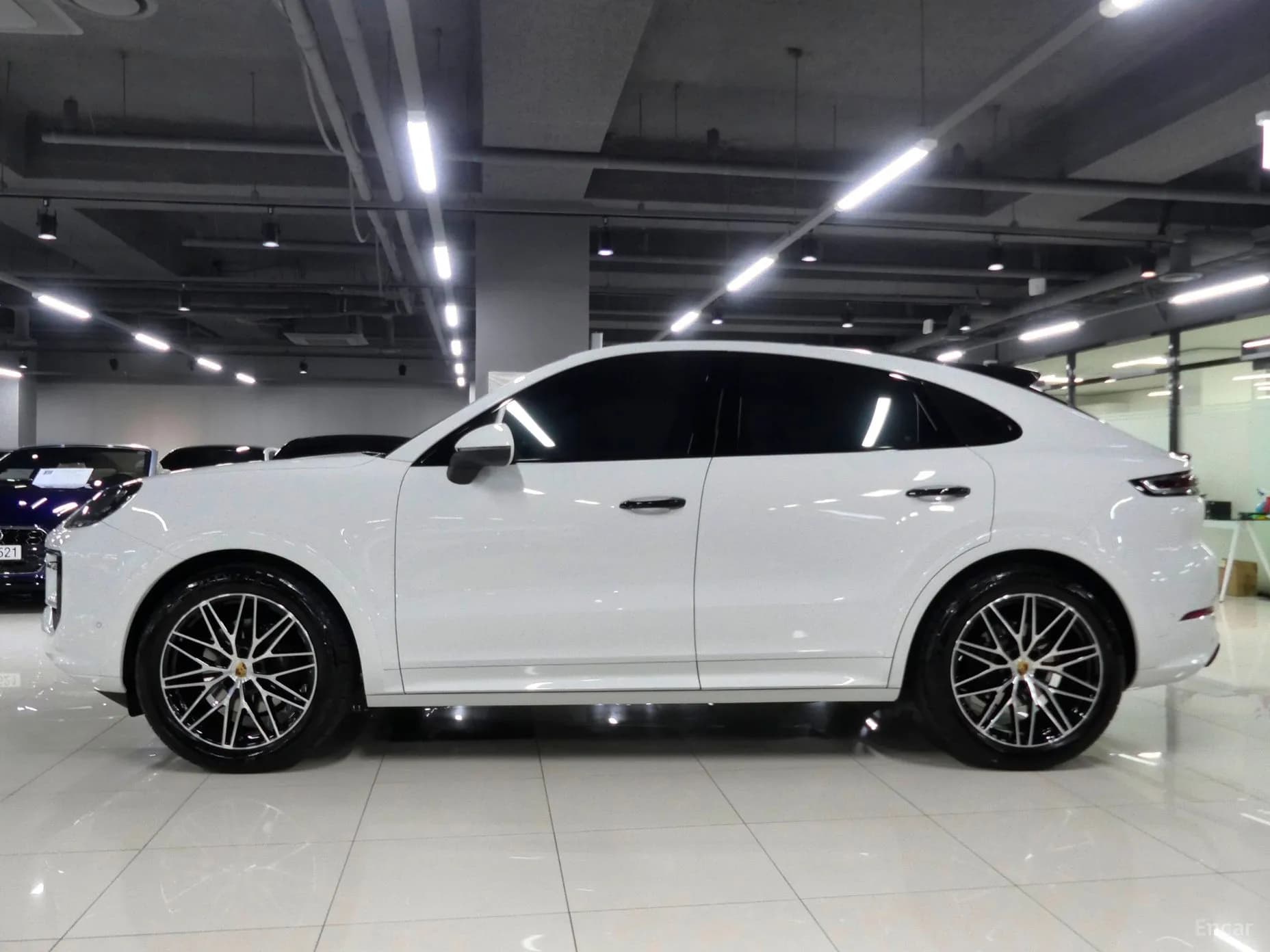 Cayenne (PO536)