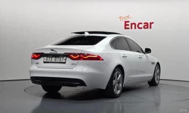 XF (x260)