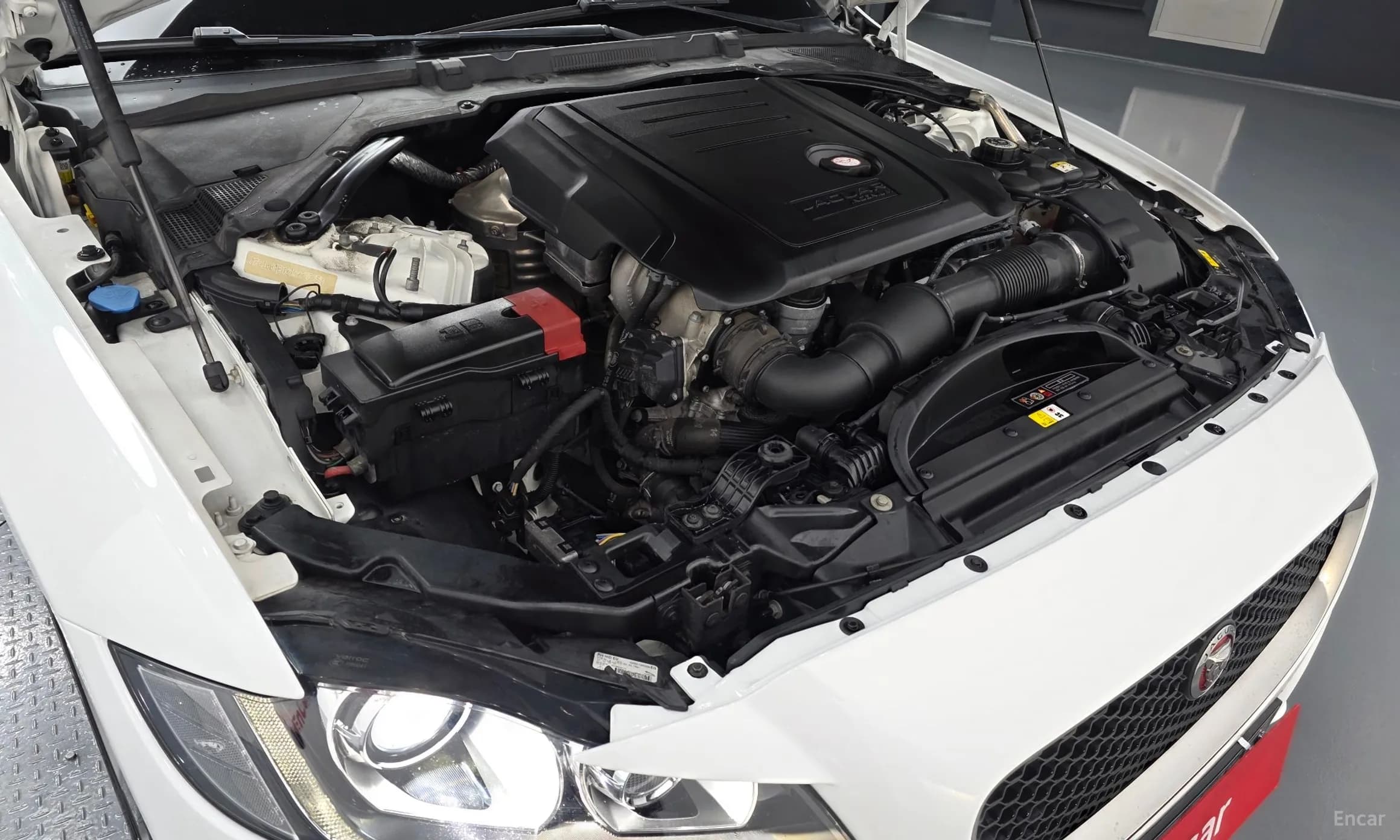 XF (x260)