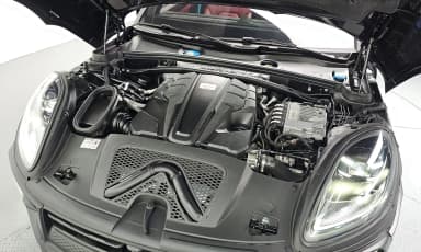 Macan