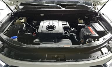 Rexton Sports