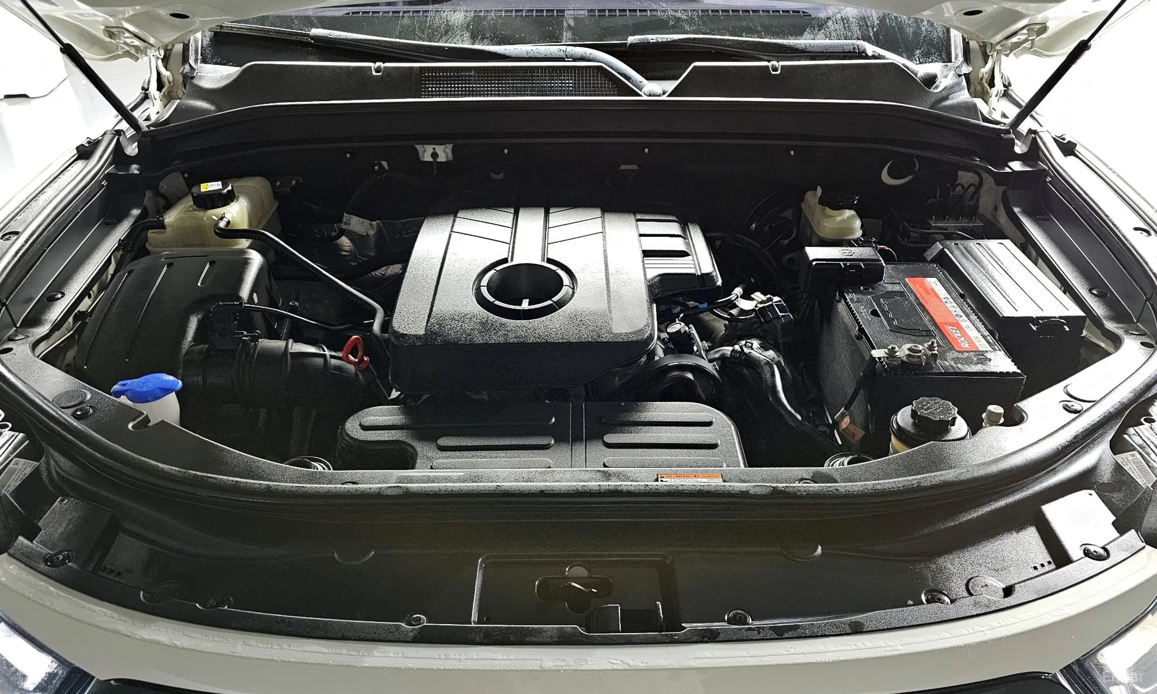 Rexton Sports