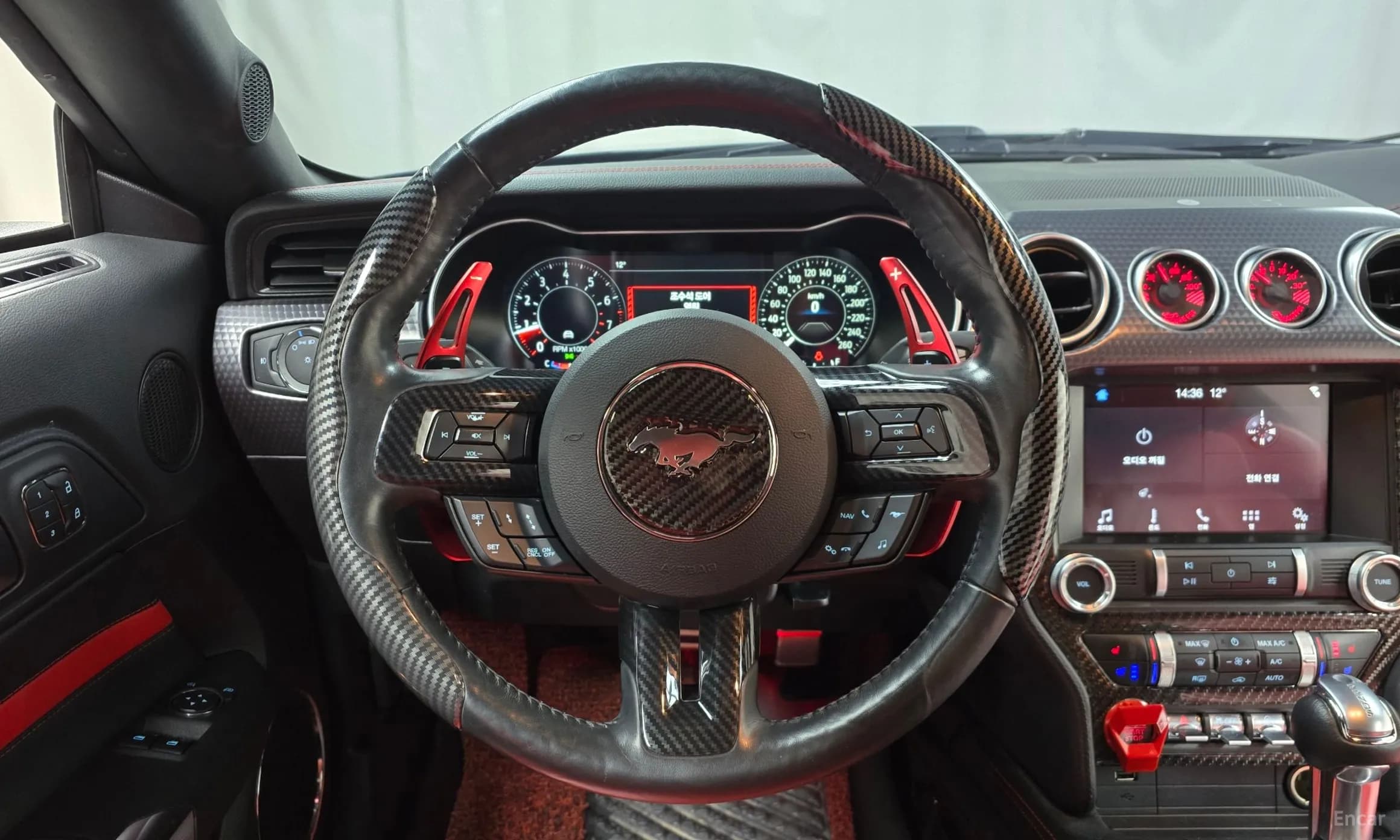 Mustang