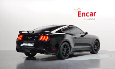 Mustang
