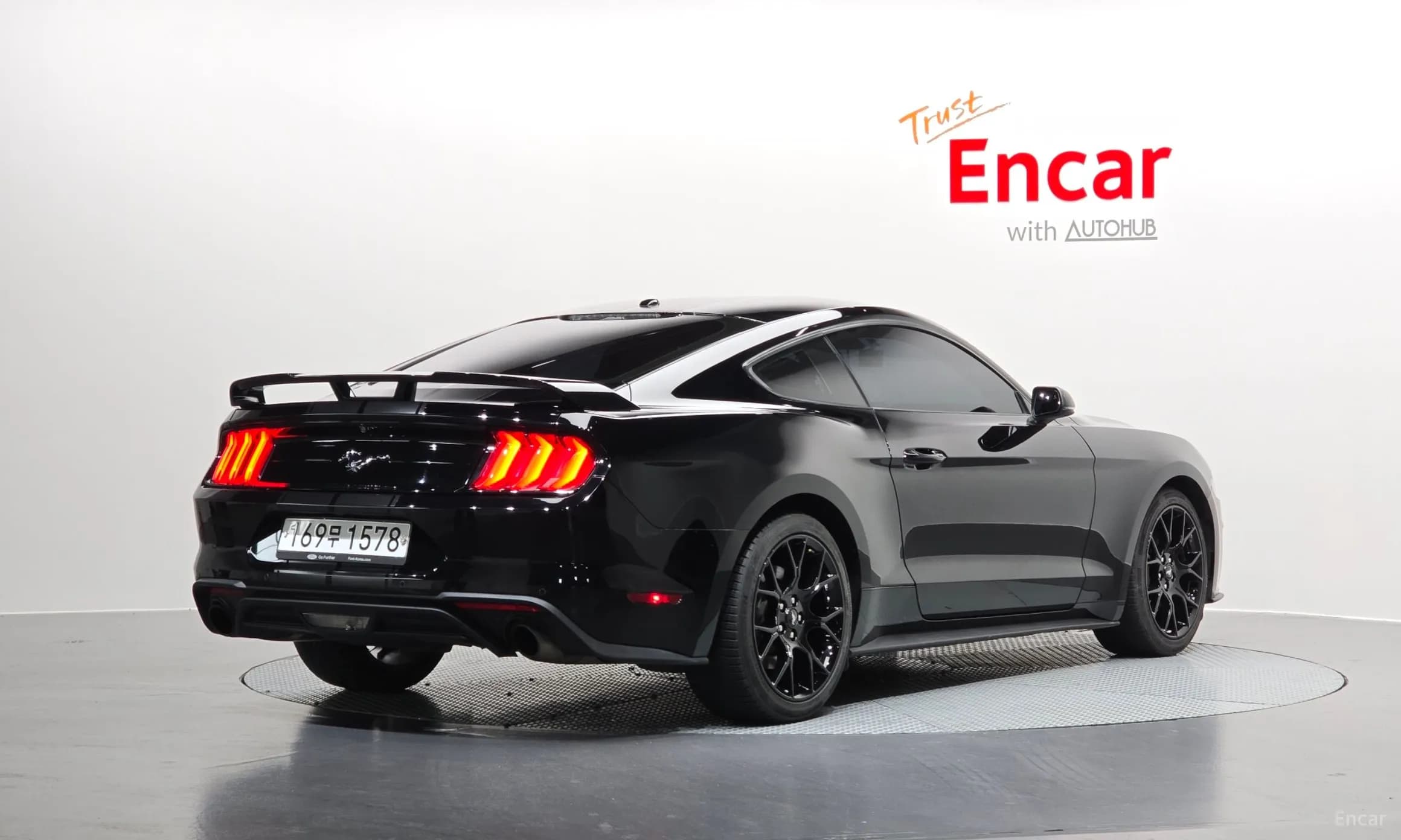 Mustang