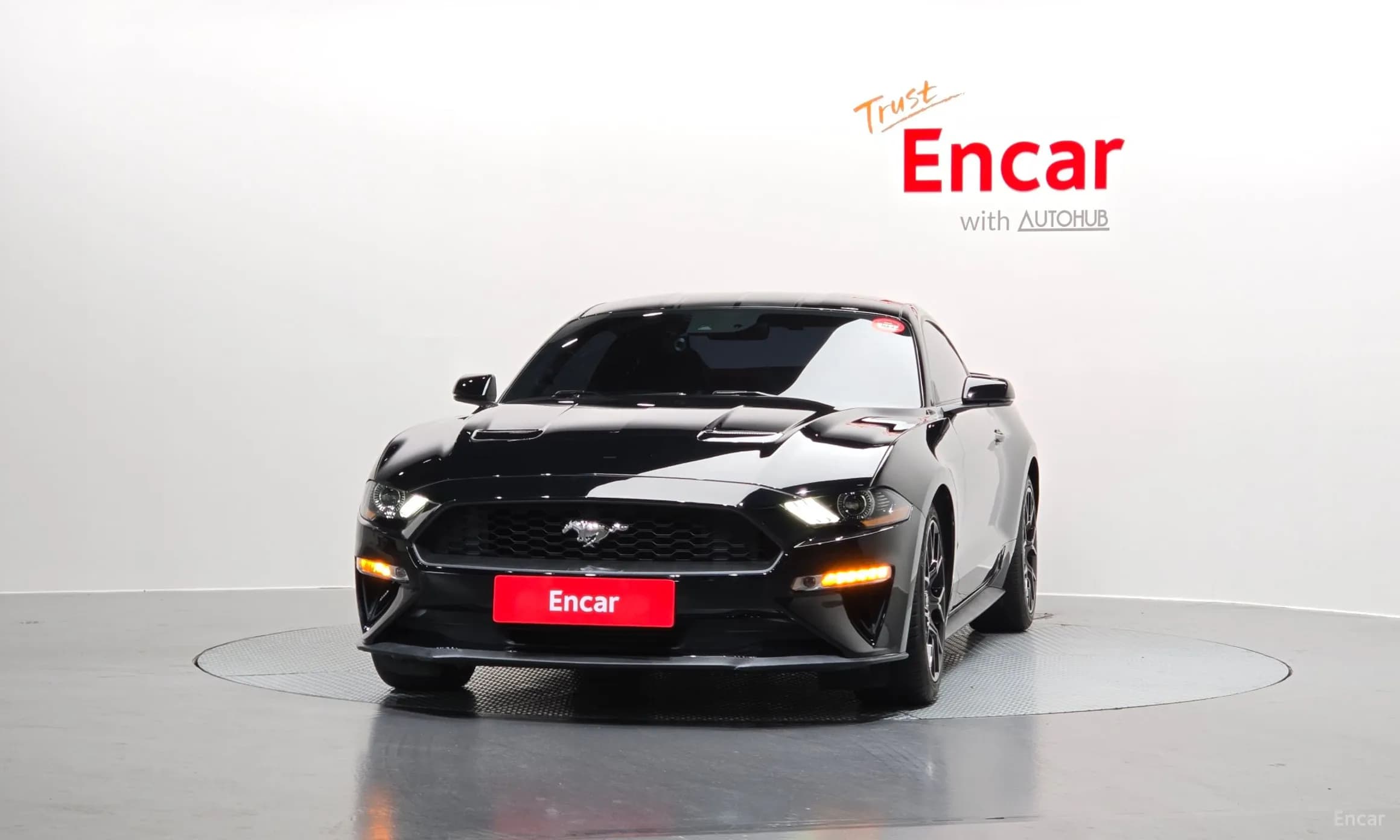 Mustang