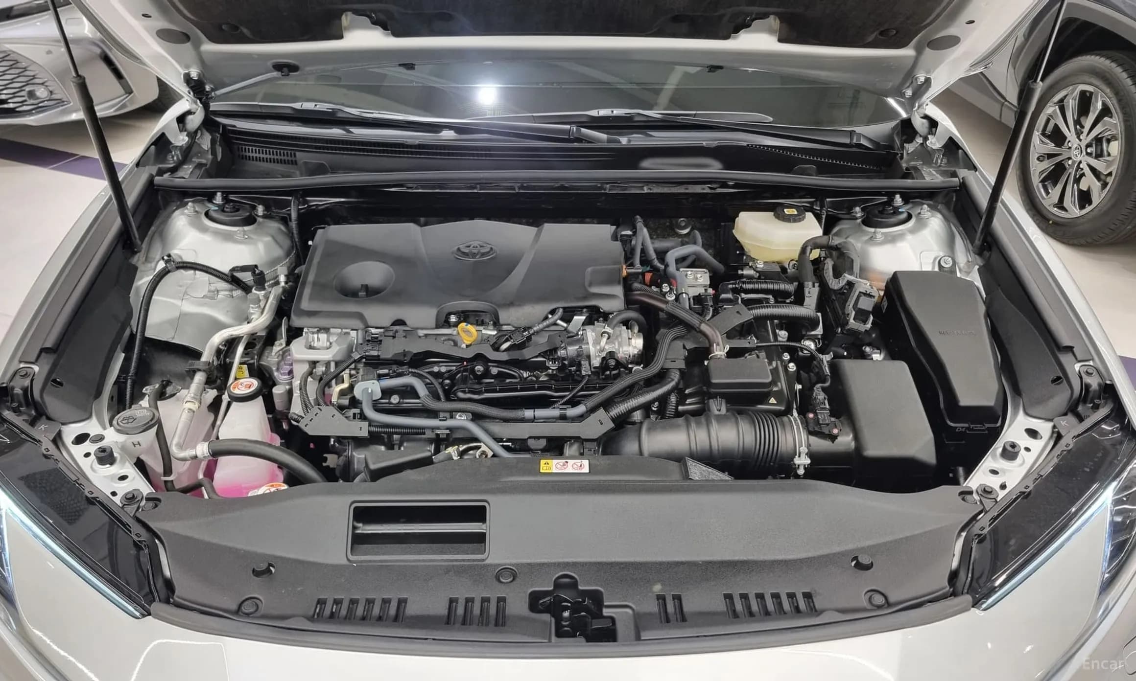 Camry (XV80)