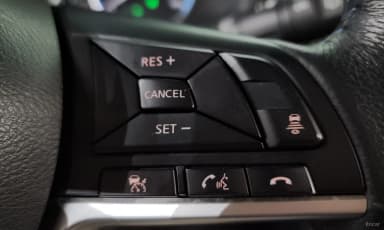 Leaf (ZE1)