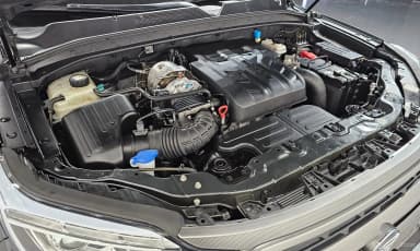 Rexton Sports