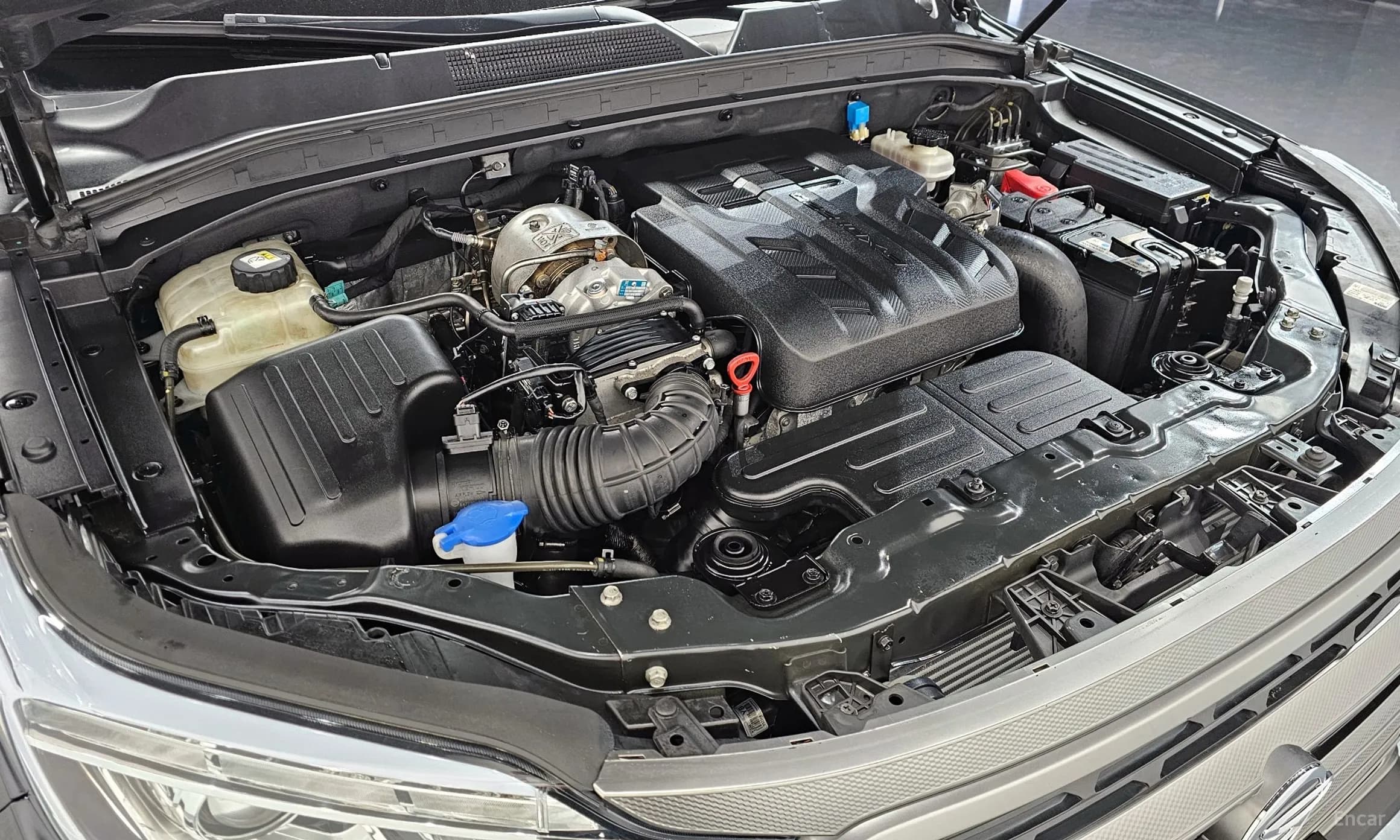 Rexton Sports