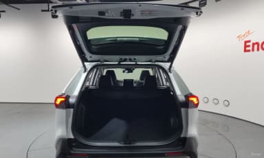 RAV4 5th Generation