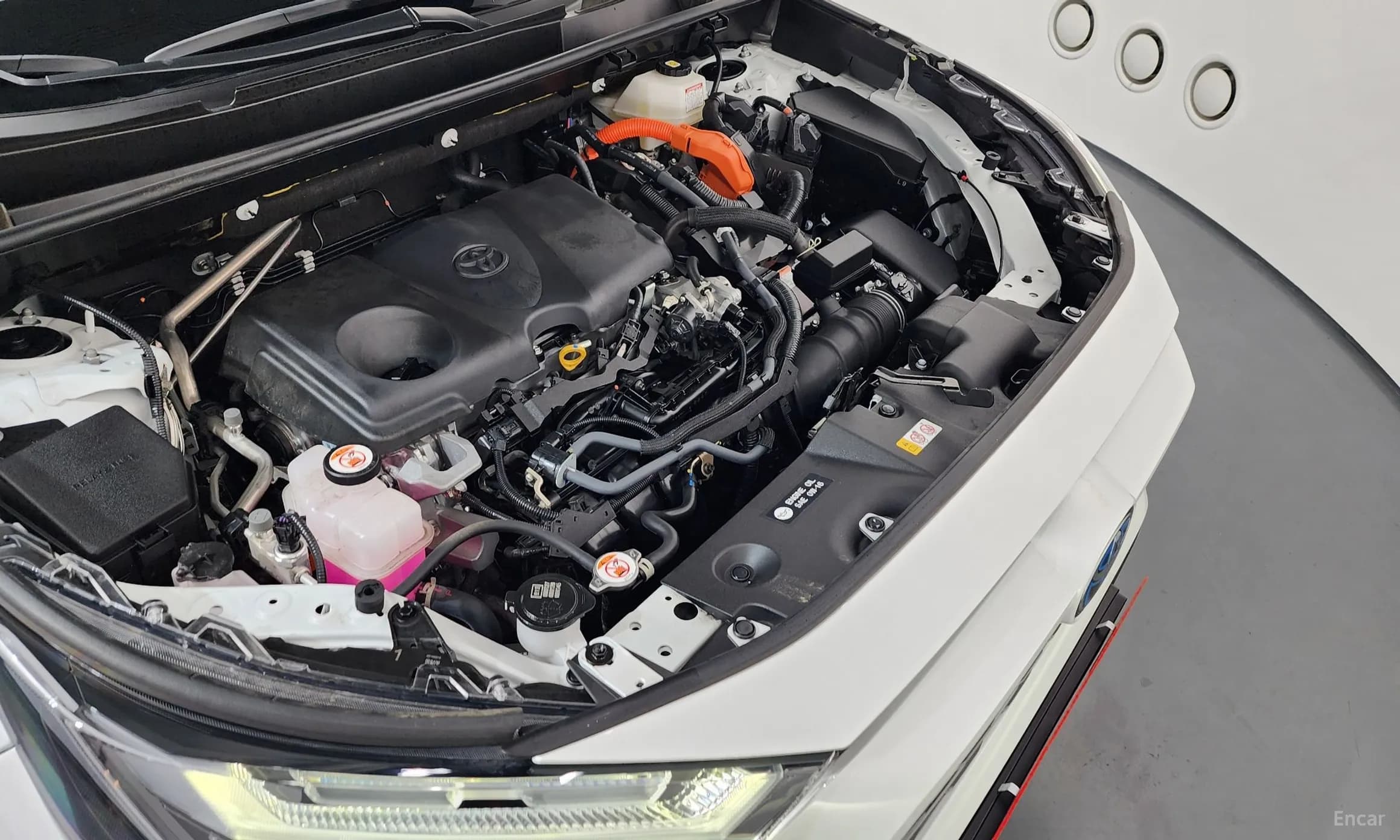 RAV4 5th Generation