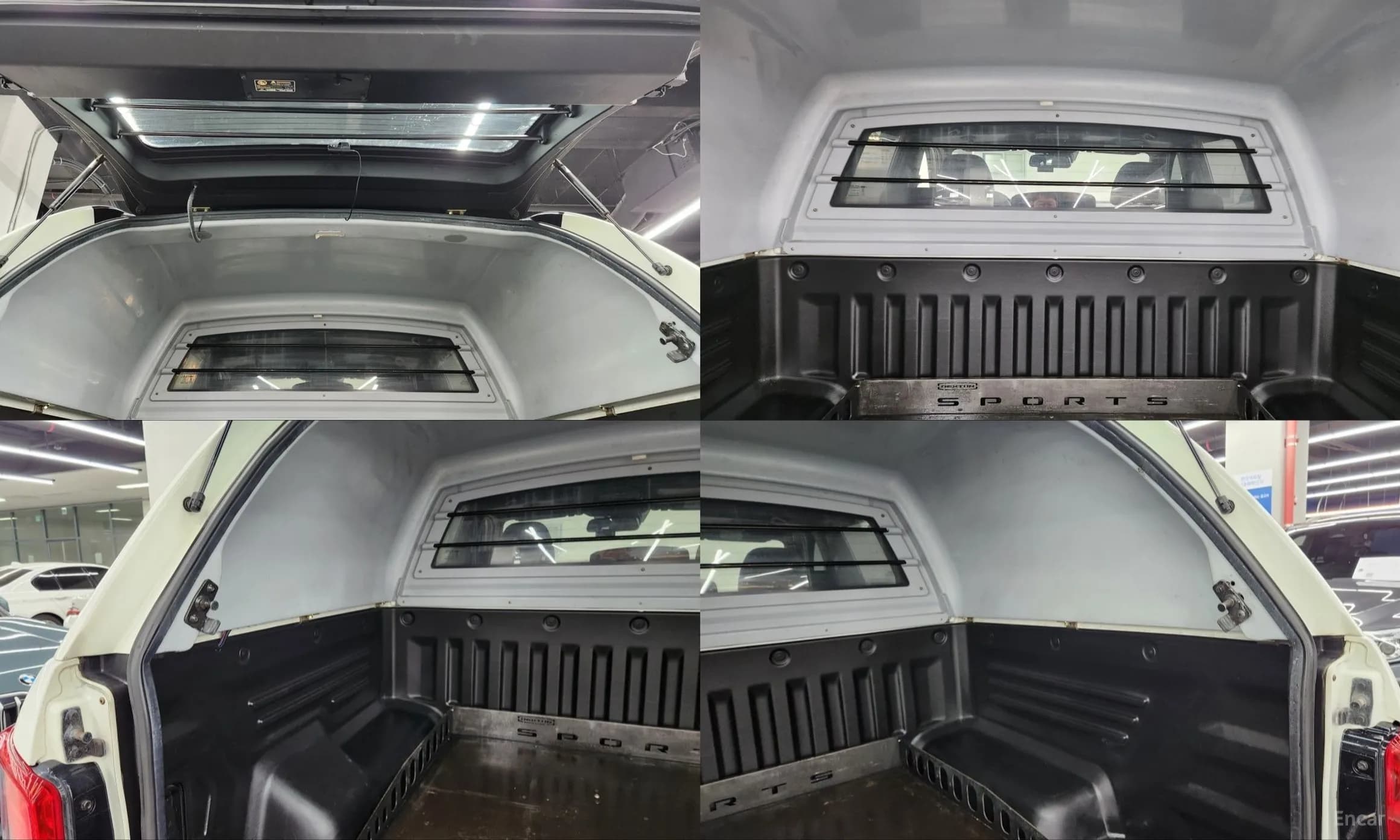 Rexton Sports