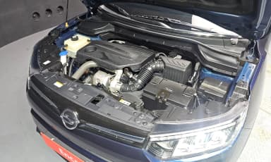 Berry New Tivoli